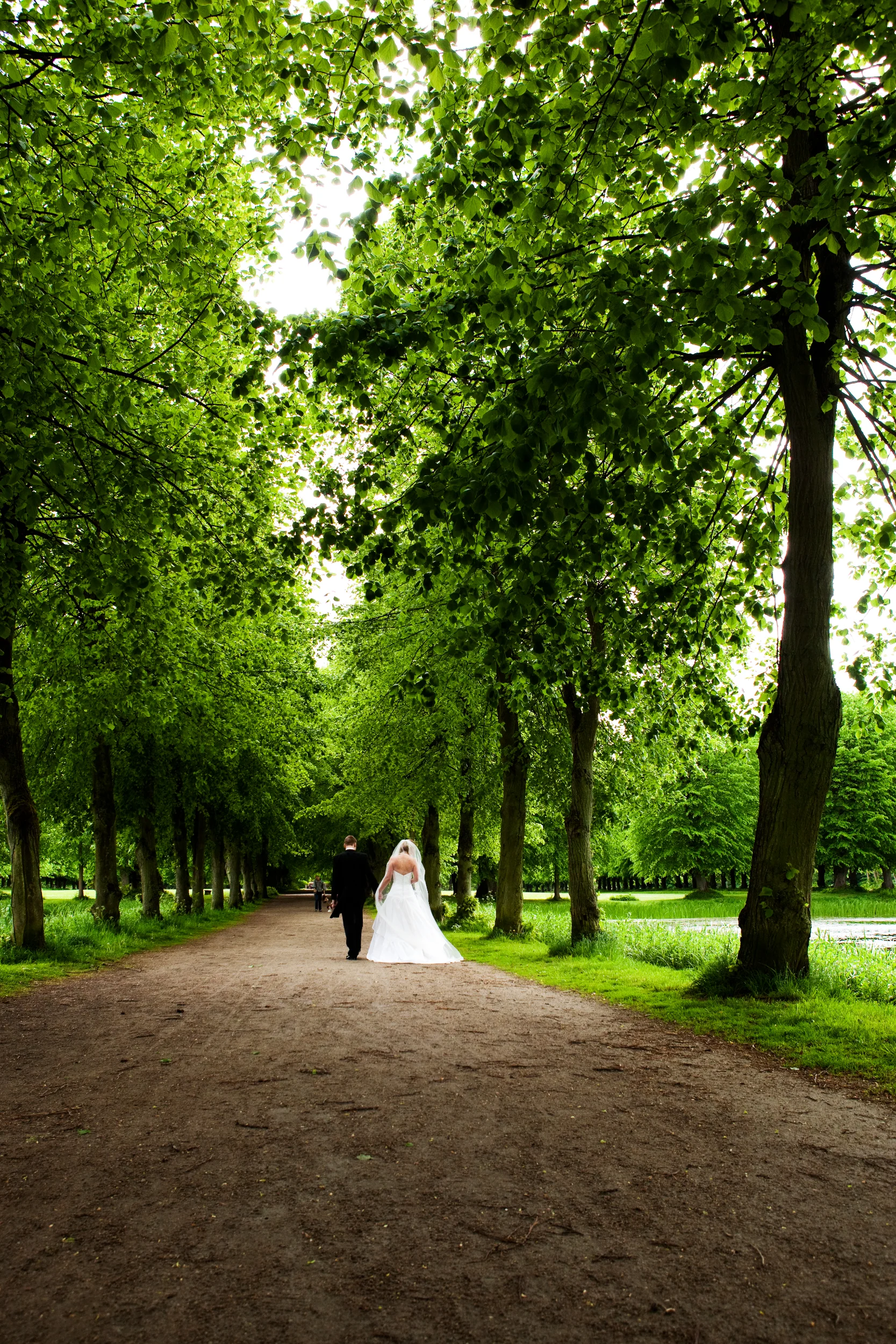 Bryllupsfotografering af brudepar, der går hånd i hånd under en grøn allé på en smuk forårsdag.