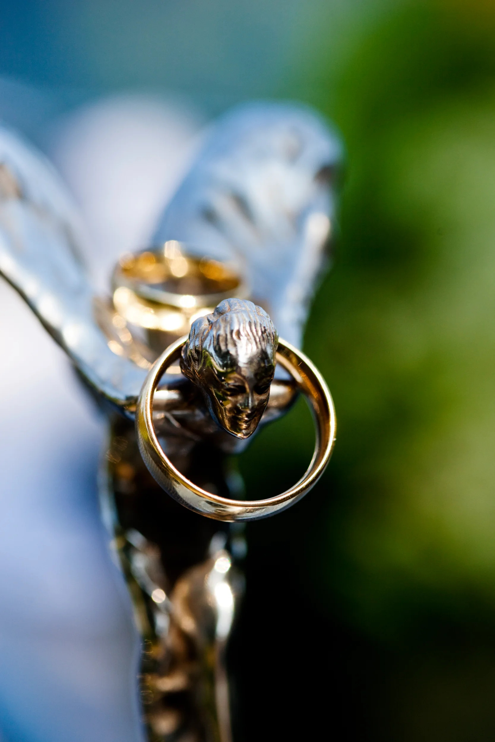 Nærbillede af to skinnende bryllupsringe i guld, placeret på en motorfigur mod en sløret grøn baggrund. Bryllupsfotografer...