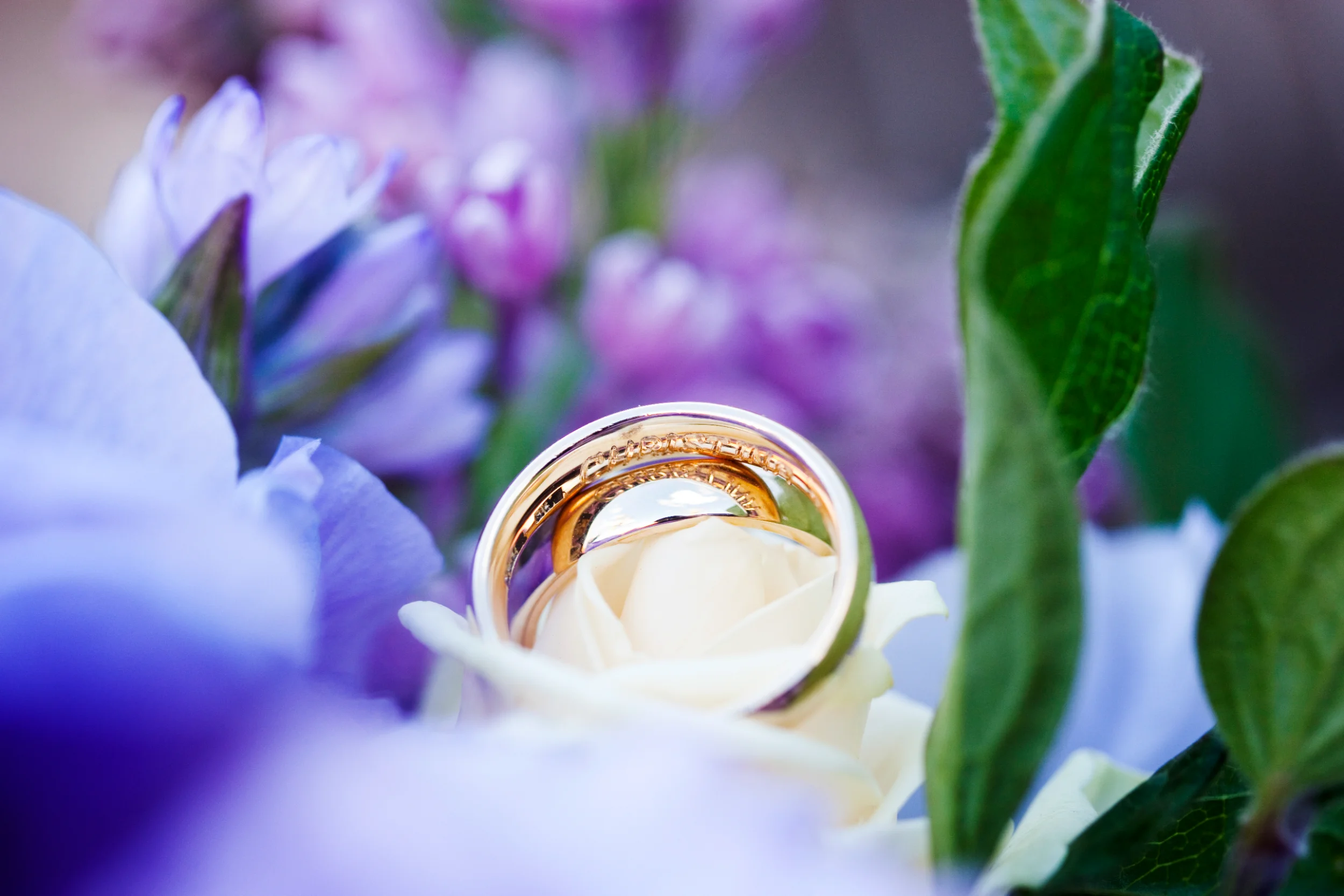 Bryllupsringe fotograferet tæt på, smukt placeret i en lys rose omgivet af lilla forårsblomster med blød belysning.