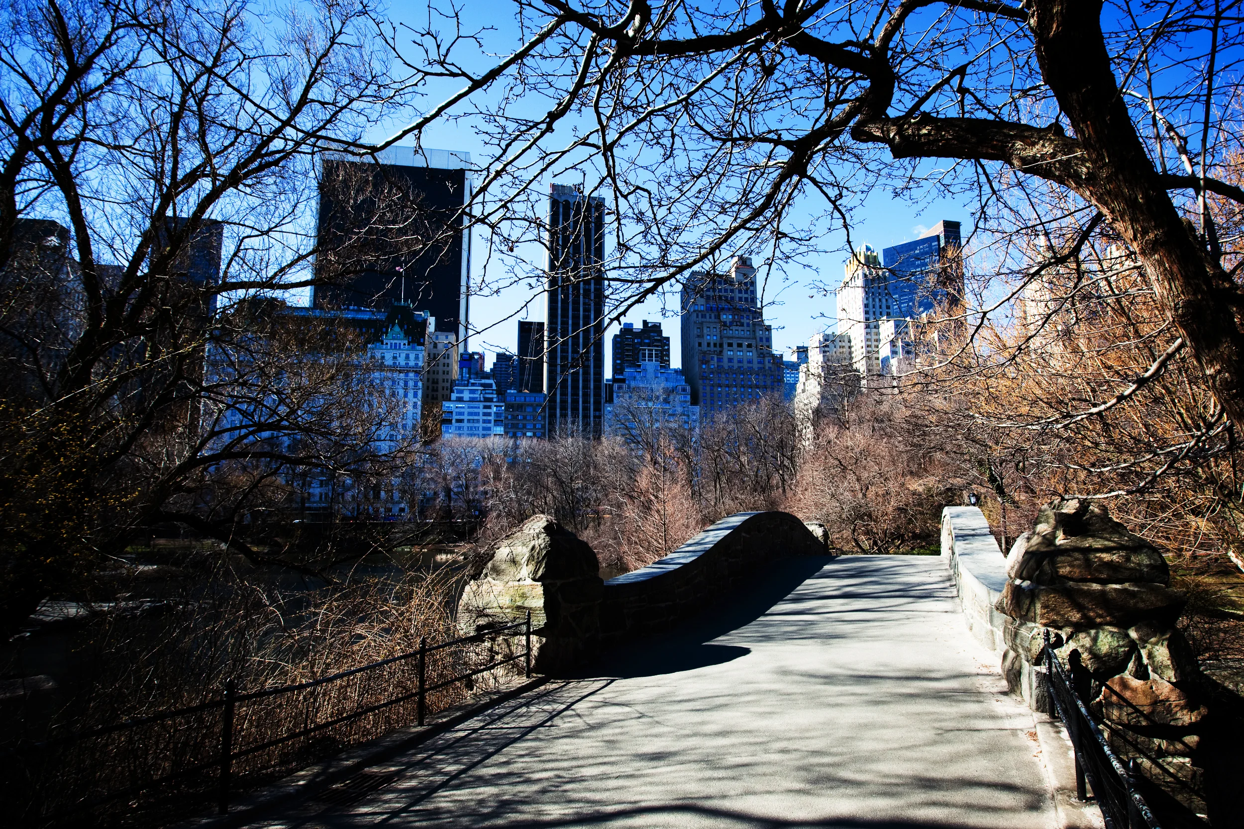 New Yorks skyline set fra parkbroen