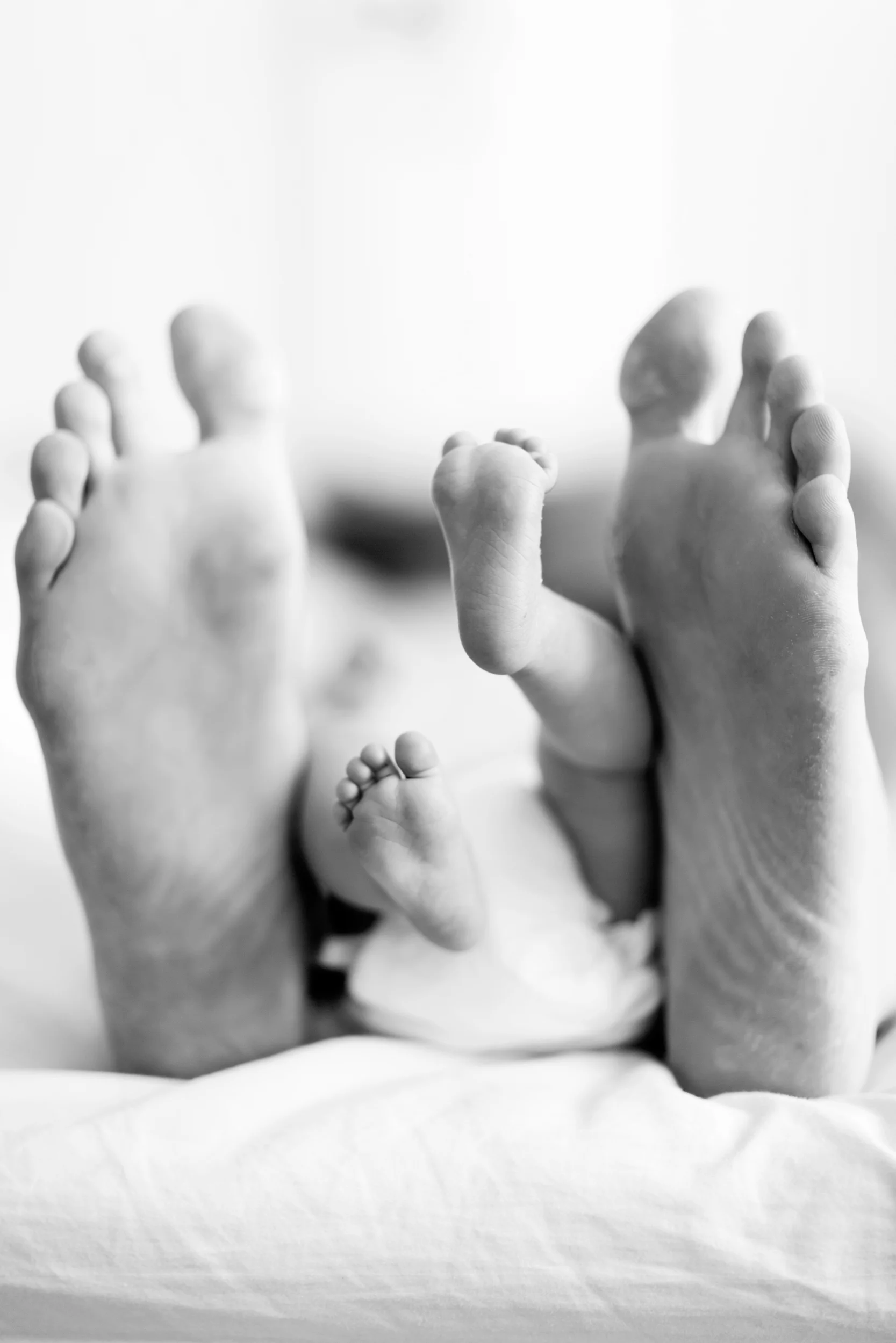 Nærbillede af voksne og små babyfødder i sort/hvid, fotograferet i blødt lys, der skaber en intim stemning af tryghed og v...