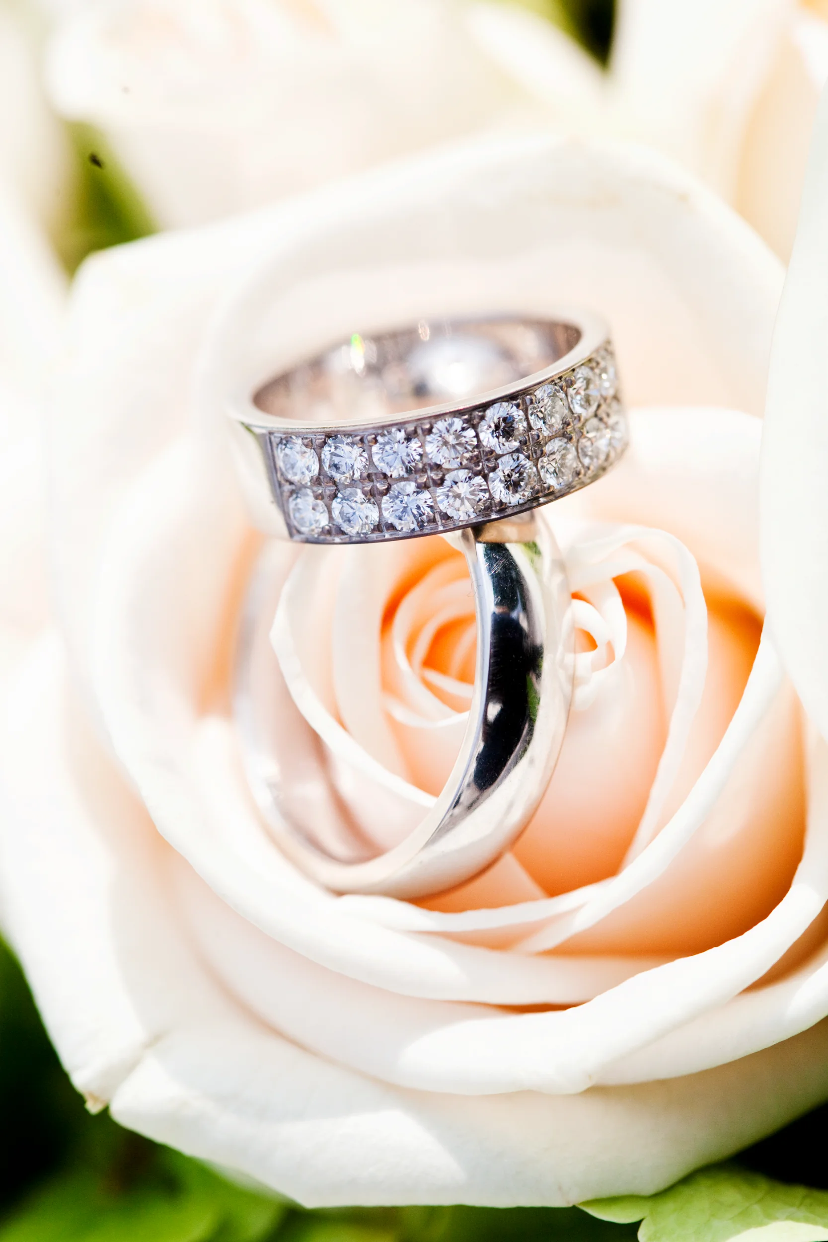 Makrofoto af to skinnende bryllupsringe med diamanter, placeret i en lyserød rose. Romantisk stemning.