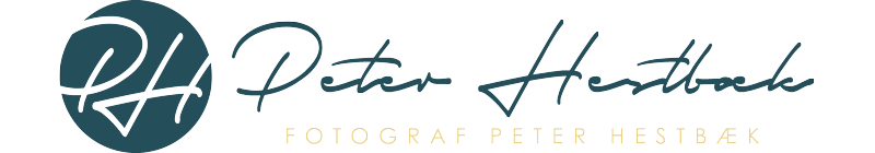 Peter Hestbæk