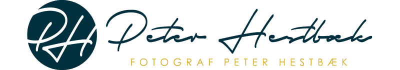 Peter Hestbæk