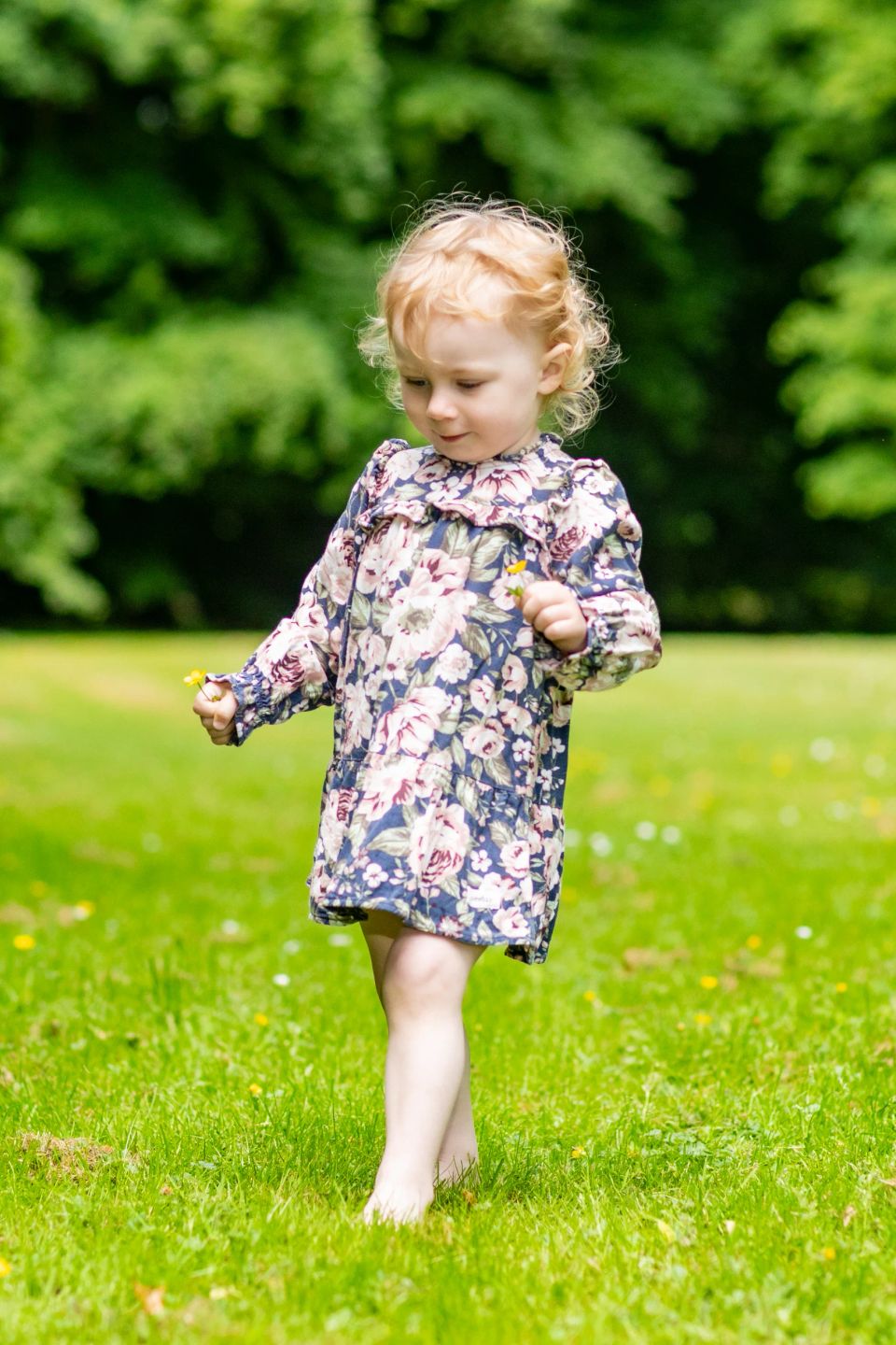Legende, lille pige med lyst krøllet hår går barfodet i grønt sommergræs med to gule blomster i hænderne.