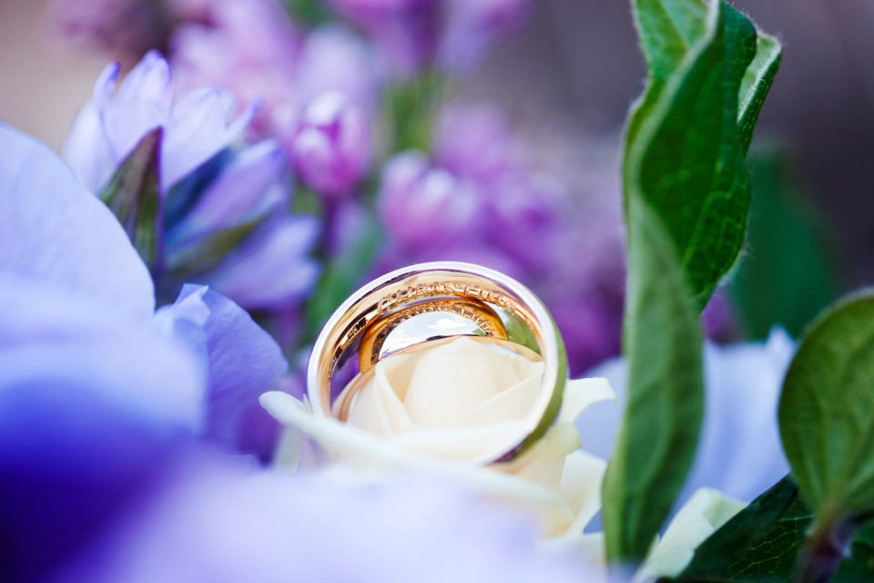 Bryllupsringe fotograferet tæt på, smukt placeret i en lys rose omgivet af lilla forårsblomster med blød belysning.