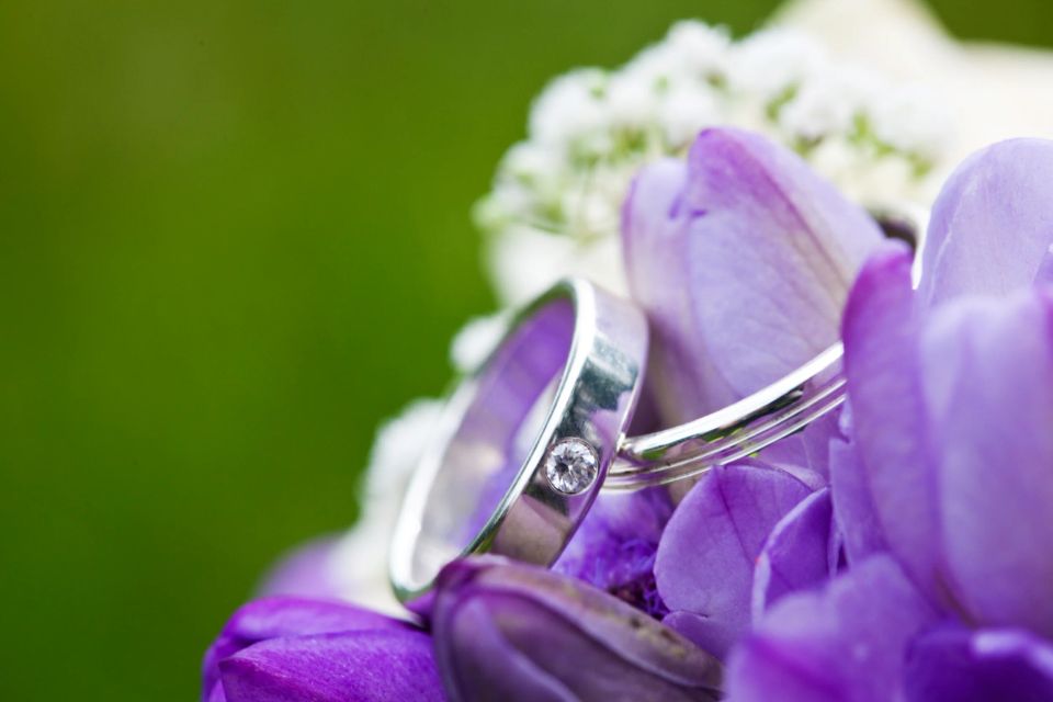 Nærbillede af to skinnende vielsesringe på lilla blomster med grøn sløret baggrund, perfekt til bryllupsfotografering.