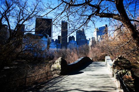 New Yorks skyline set fra parkbroen