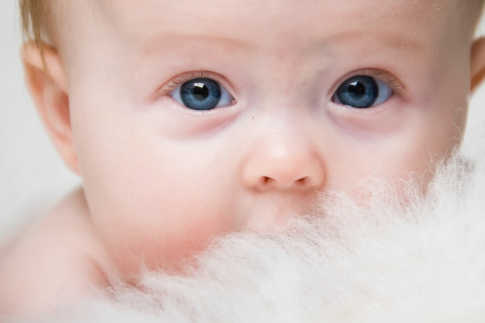 Nærportræt af baby med strålende blå øjne og lyst hår, delvist dækket af hvidt tæppe. Babyfotografering.