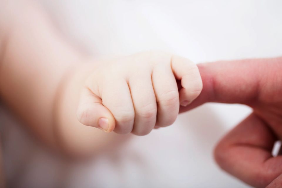 Nærbillede af en babys spæde hånd der krammer en voksen finger, hjertevarm babyfotografering med blødt lys.