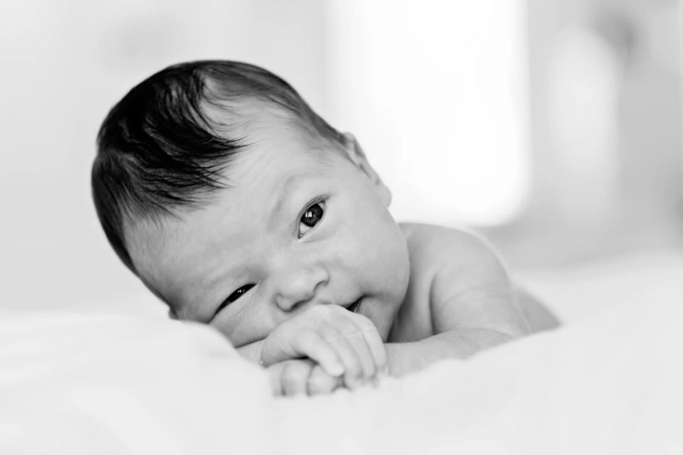 Baby fotografering. En nyfødt baby ligger på maven, løfter hovedet og kigger nysgerrigt frem i sort-hvidt lys.
